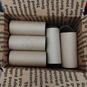 Craft Lot of 44 Empty Cardboard Toilet Paper Tubes